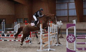 Elfe d'hegeney

Ma rejoins en août 2021, c'est ma jument de concours, avec elle, je fais du CSO, Dressage, Hunter, CCE, mais également un peu de travail à pied.

Au caractère bien trempé, c'est une jument assez délicate et sensible qui demande une tout autres méthode de travail que celle utilisée sur Gasella, elle me permet de me remettre en question continuellement en me montrant que rien n'est jamais acquis à 100 % avec elle !