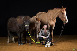 Léa

À la tête de cette folle aventure, je me présente Léa, bientôt 22 ans, en formation BPJEPS.

Cavalière depuis 18 ans et propriétaire depuis bientôt 15 ans, j'ai pu pratiquer nombreuse disciplines, Horse-ball, pony-games, CSO, Dressage, Hunter, CCE, Derby cross, Trec, TAP etc 

J'ai eu l'occasion de rencontrer tous les types de chevaux.